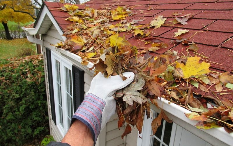 Fall